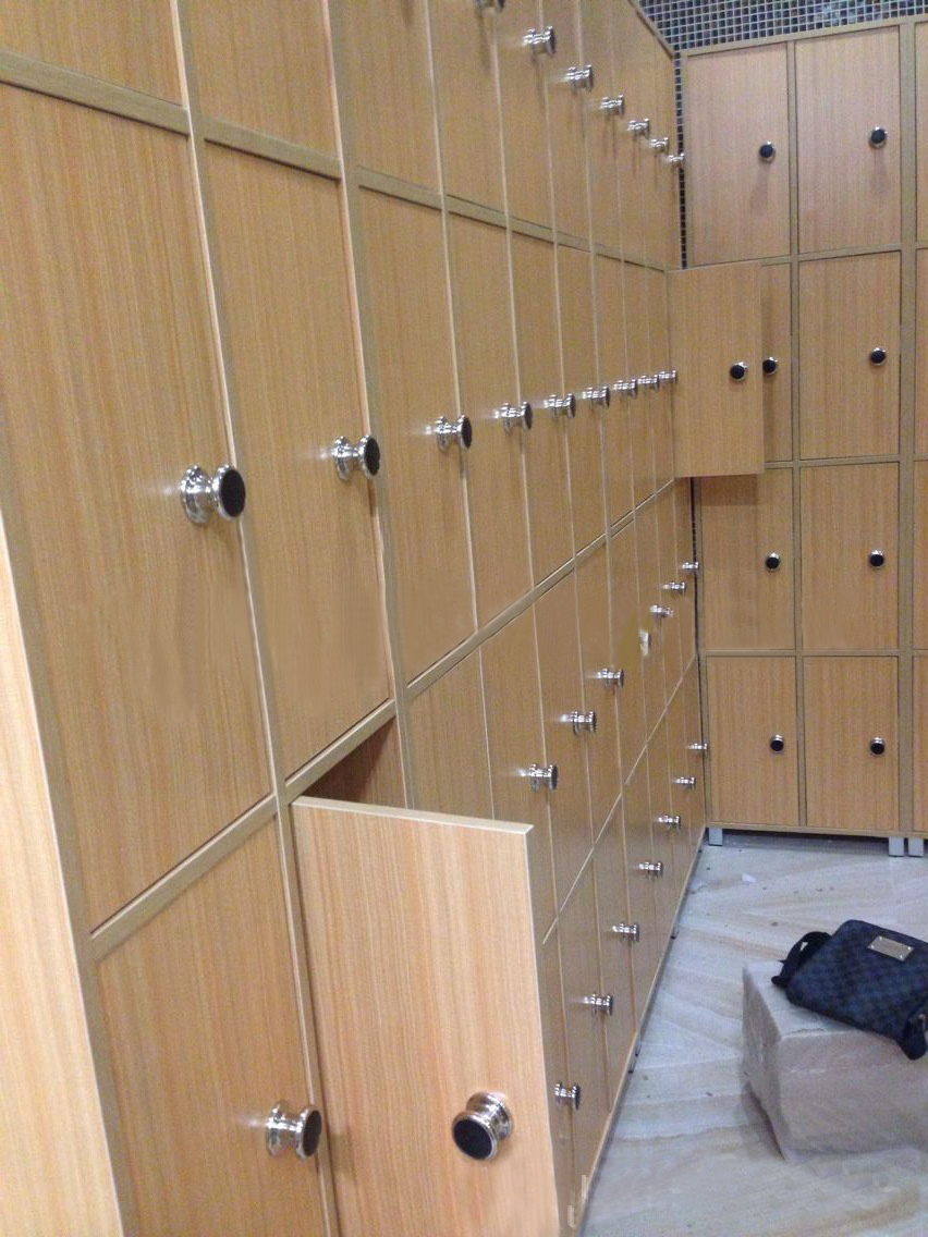 GYM electronic RFID Locker Lock EM115 Price