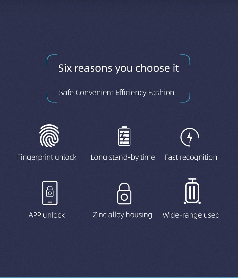 Fingerprint Pad Lock With Tuya APP For Option L3