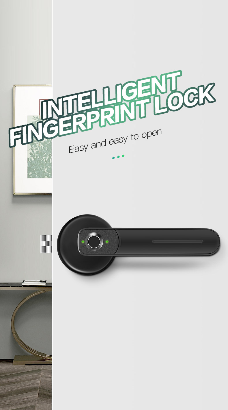 Biometric Fingerprint Bluetooth Smart Lock YFBF-D01