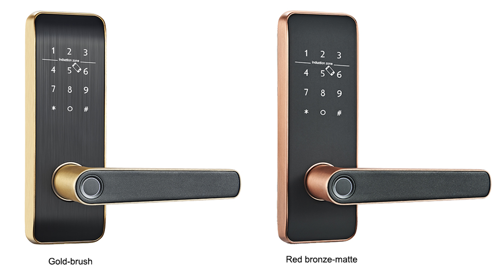 Fingerprint Bluetooth Smart Lock YFBF-819