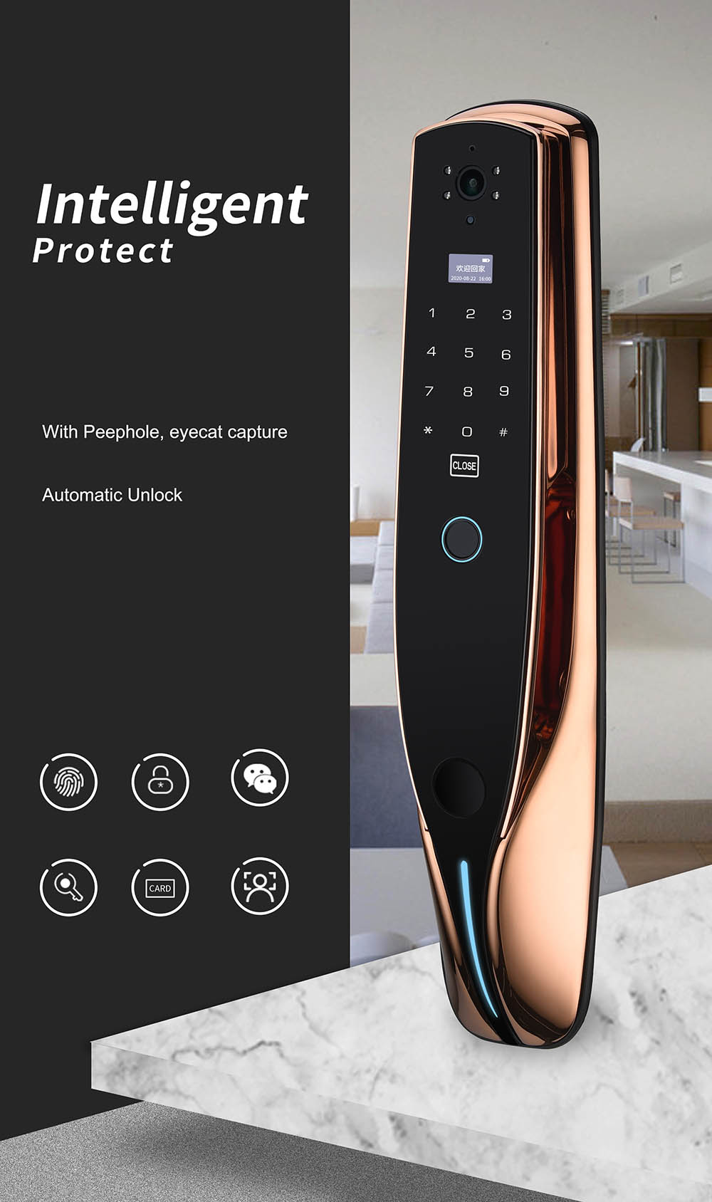 Automatic Biometric Fingerprint Smart Door Lock YFF-Z02