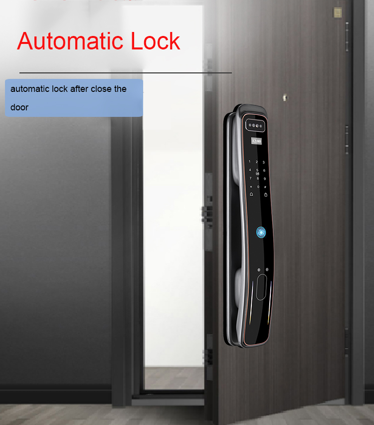 Tuya Zigbee 3D Face Smart Door Lock YFFZ-EL08