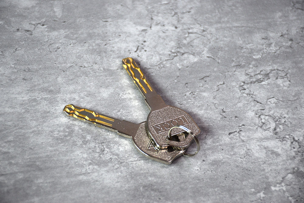 Automatic Rim Fingerprint Door Lock YFF-X5A Automatic Rim Fingerprint Door Lock YFF-X5A