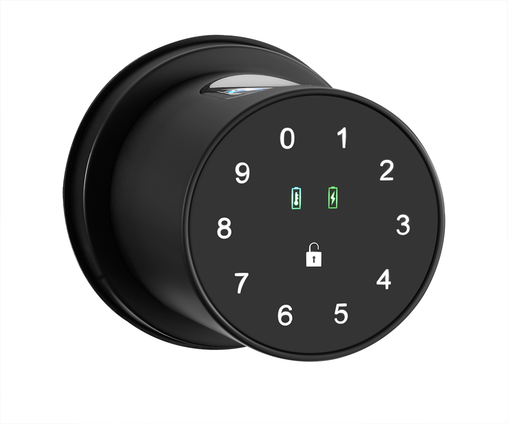 Tuya Bluetooth Ball Lock YFBF-Q1