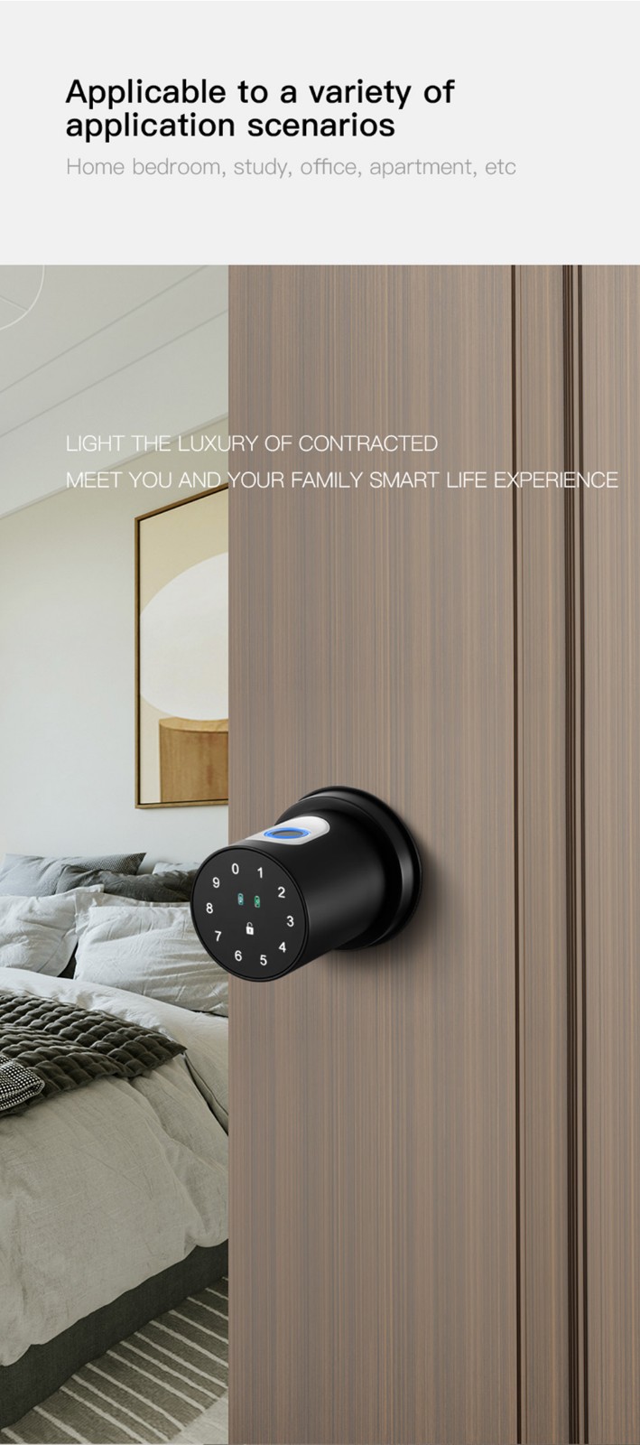 Tuya Bluetooth Ball Lock YFBF-Q1