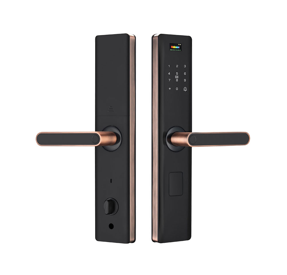 Digital Fingerprint Door Locks YFF-Z15 Digital Fingerprint Door Locks YFF-Z15