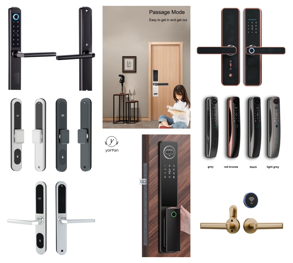 The pictures of our company