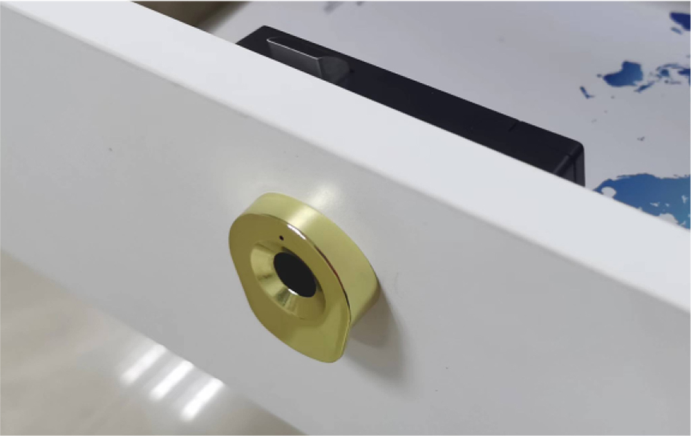 Fingerprint Drawer Lock F780B