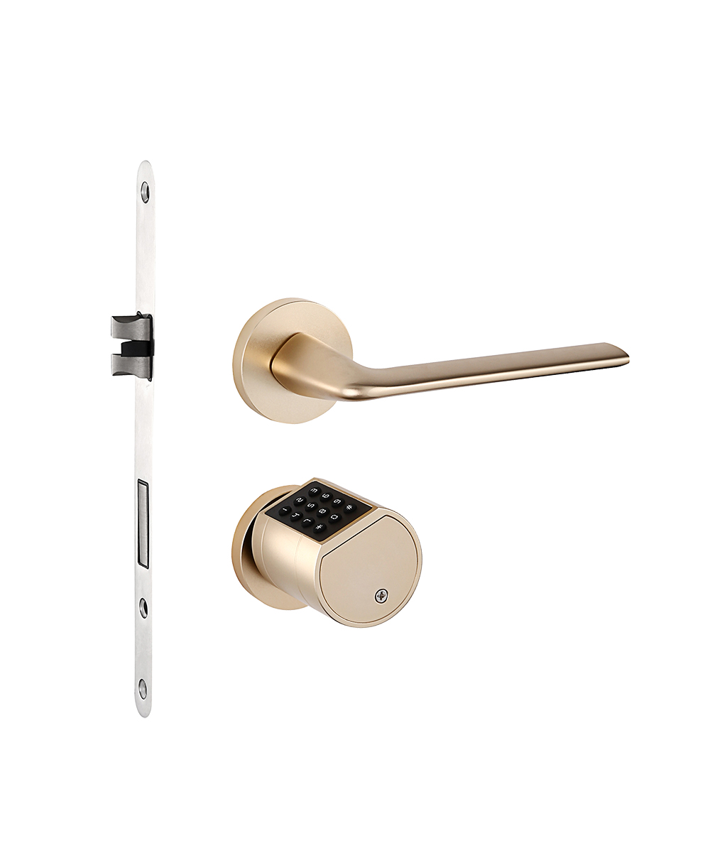 Smart Cylinder Lock YFBF-LY11/YFB-LY11 Smart Cylinder Lock YFBF-LY11/YFB-LY11