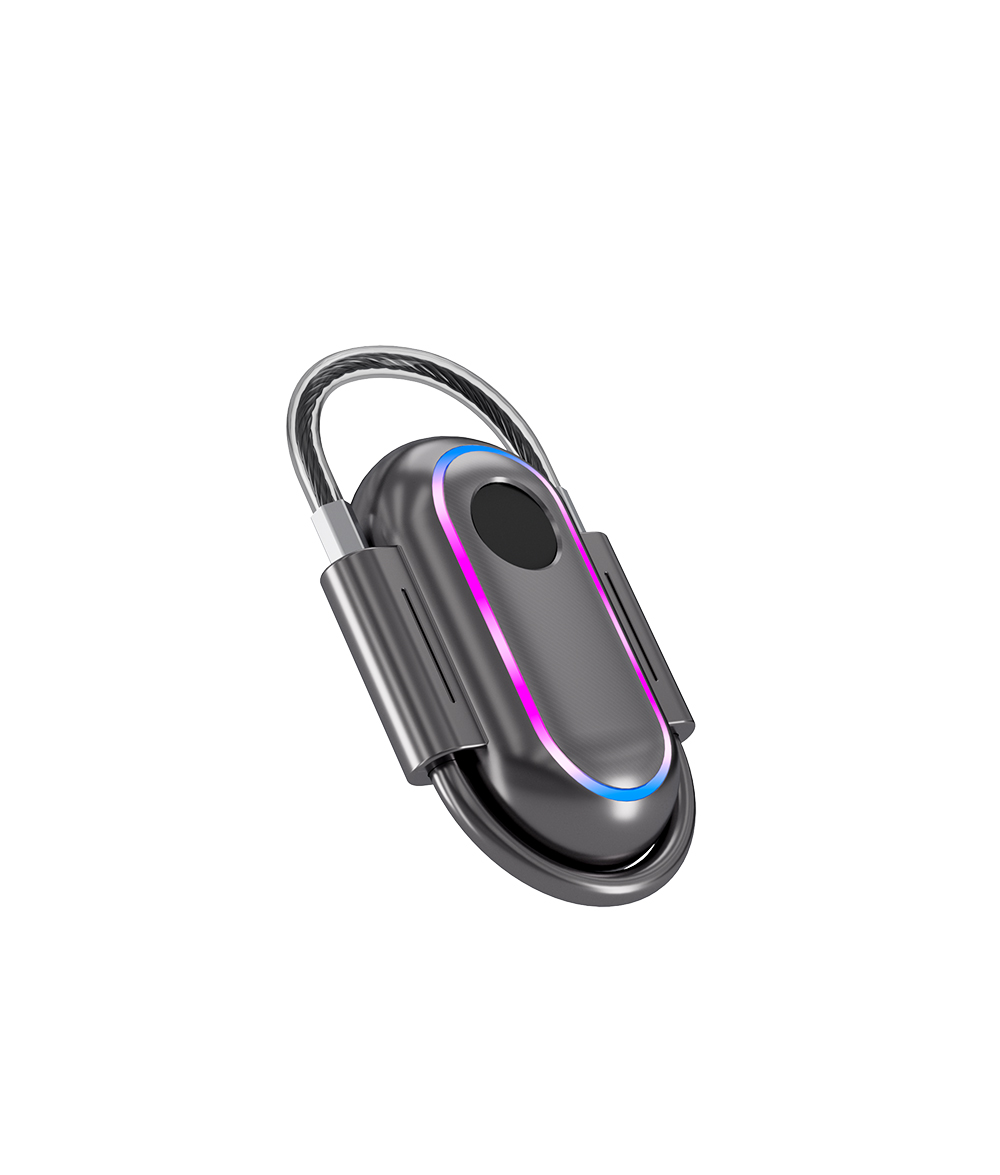Fingerprint Pad Lock With Differentce CS01