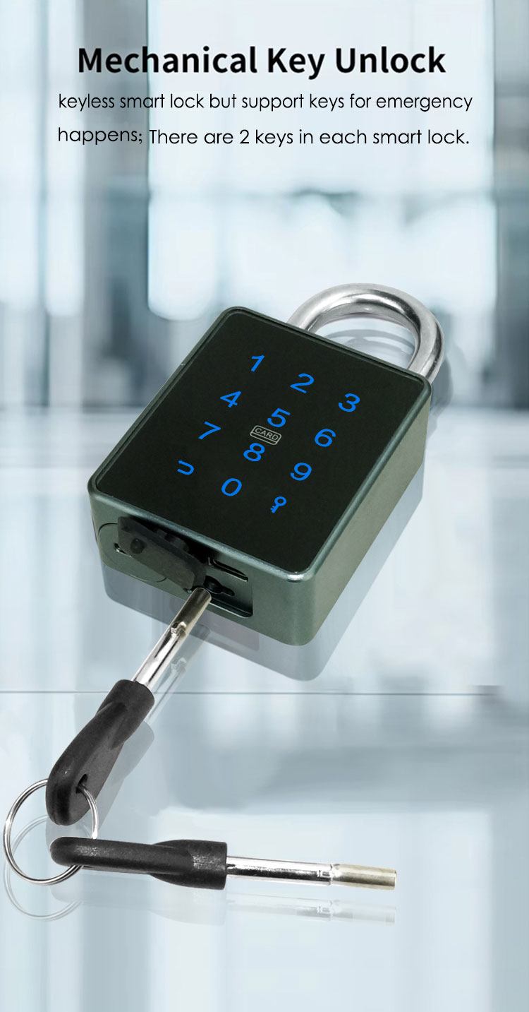 Passcode Pad Lock T55C Passcode Pad Lock T55C