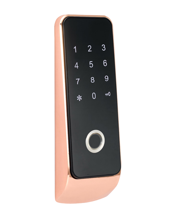 China Electronic Fingerprint Locker Lock EMPF118