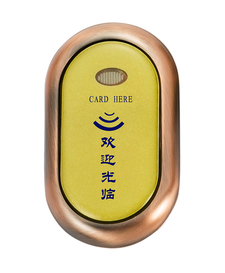 RFID Locker Lock EM106