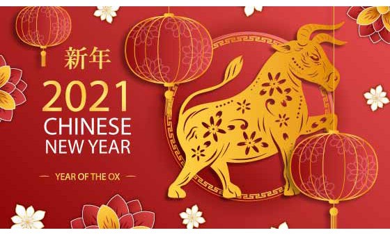 Yorfan Technology Wishes you a Happy Chinese New Year!