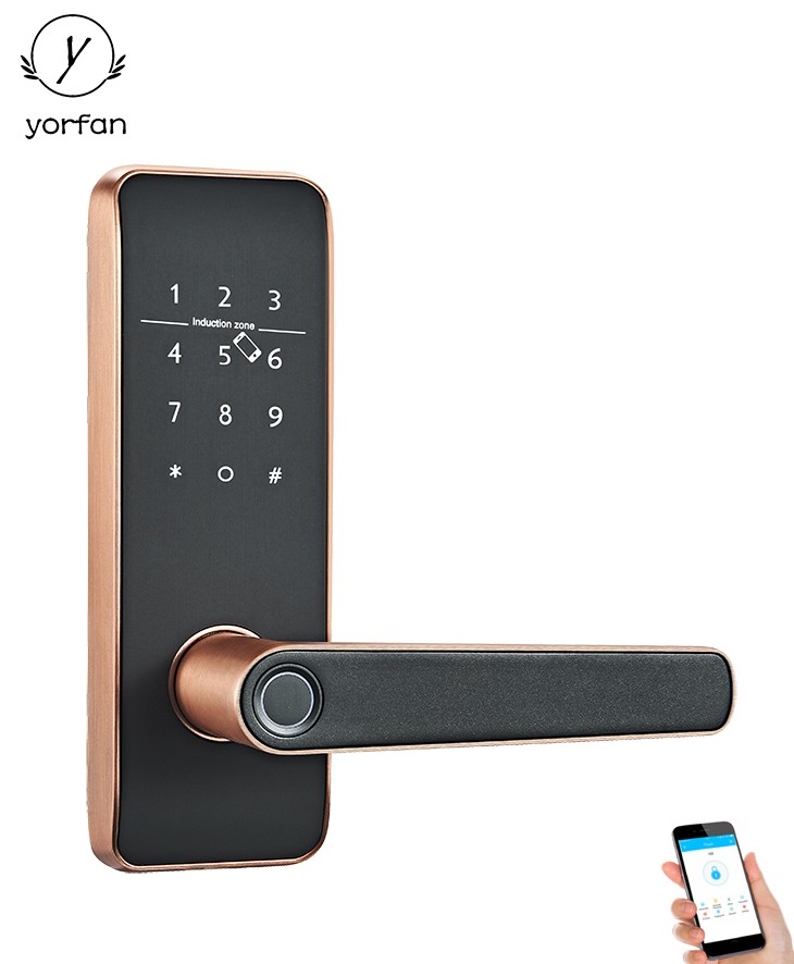 Fingerprint Bluetooth Smart Lock YFBF-819