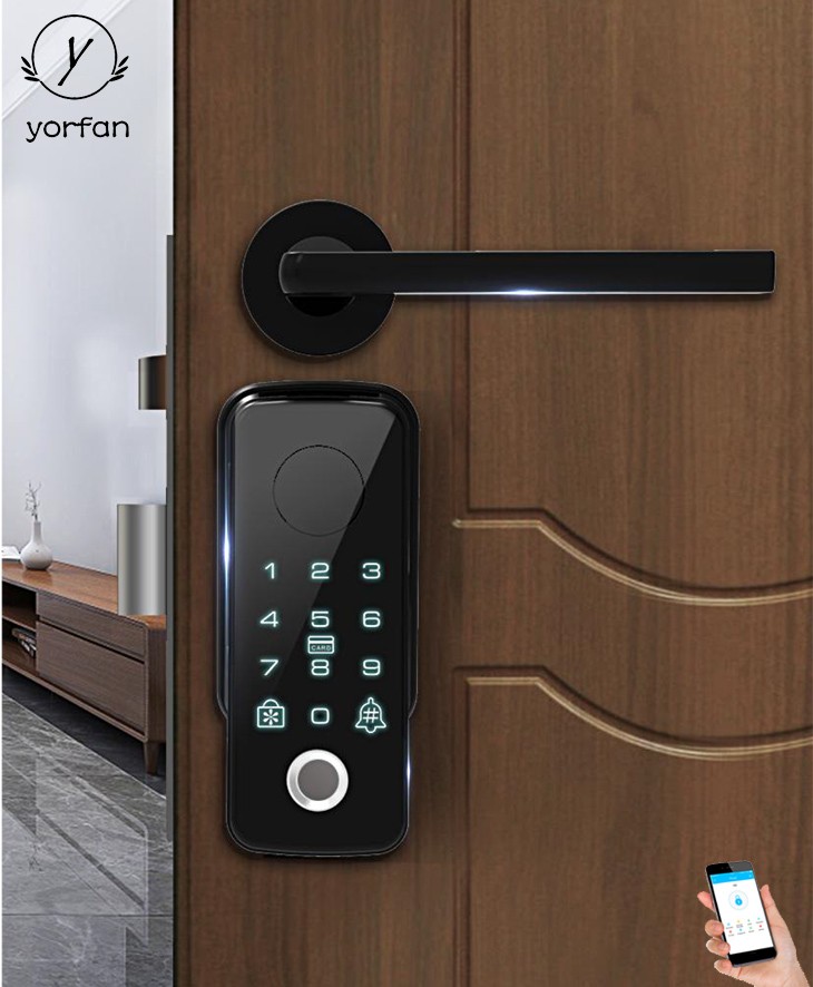 Euro Cylinder Smart Automatic Wifi Lock YFFW-Z18