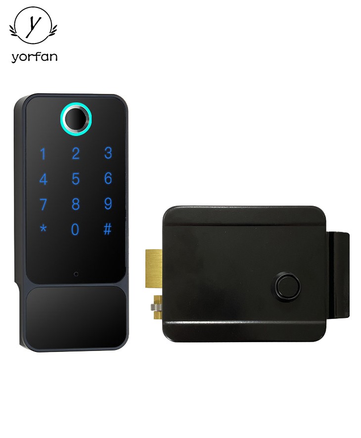 Automatic Rim Fingerprint Door Lock YFF-X5A