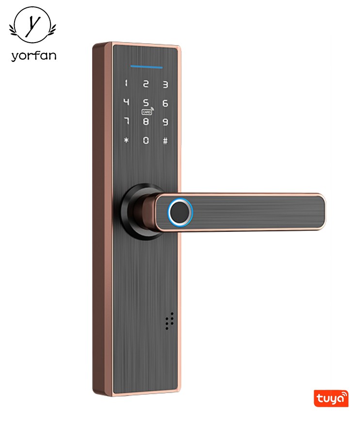 Tuya Zigbee Smart Door Lock YFFZ-X1