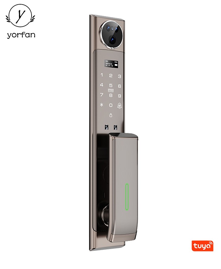 3D Face Intercom Smart Automatic Door Lock YFFR-CG01