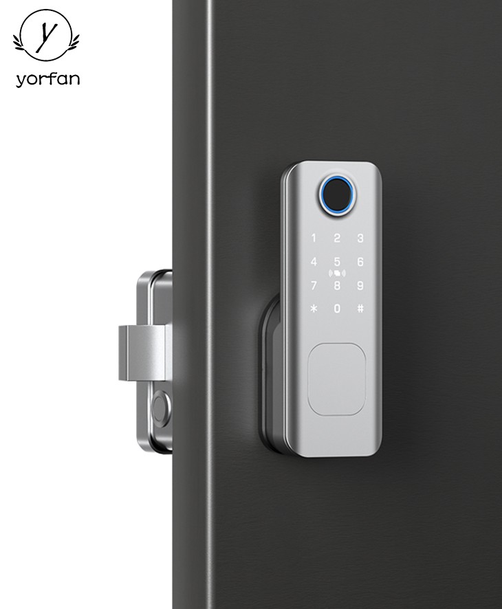 Rim Type Fingerprint Door Lock YFF-N1