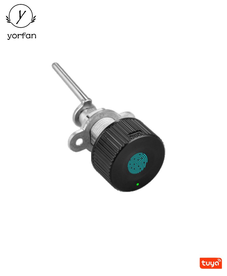 Tuya Office File Cabinet Lock F480