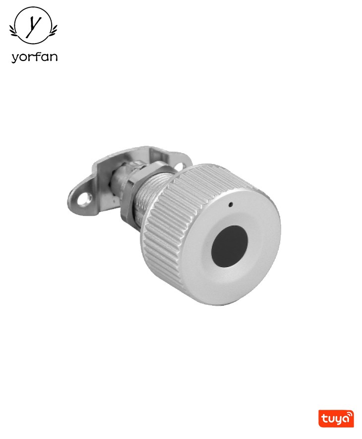 Tuya Office File Cabinet Lock F480