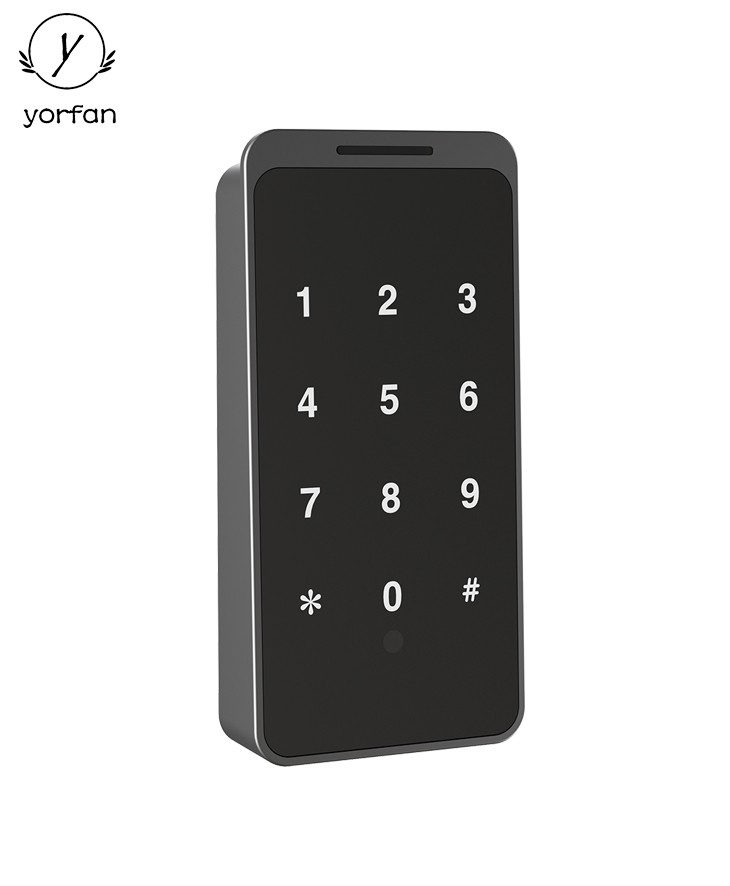 ABS Material Password Locker Lock EMP185