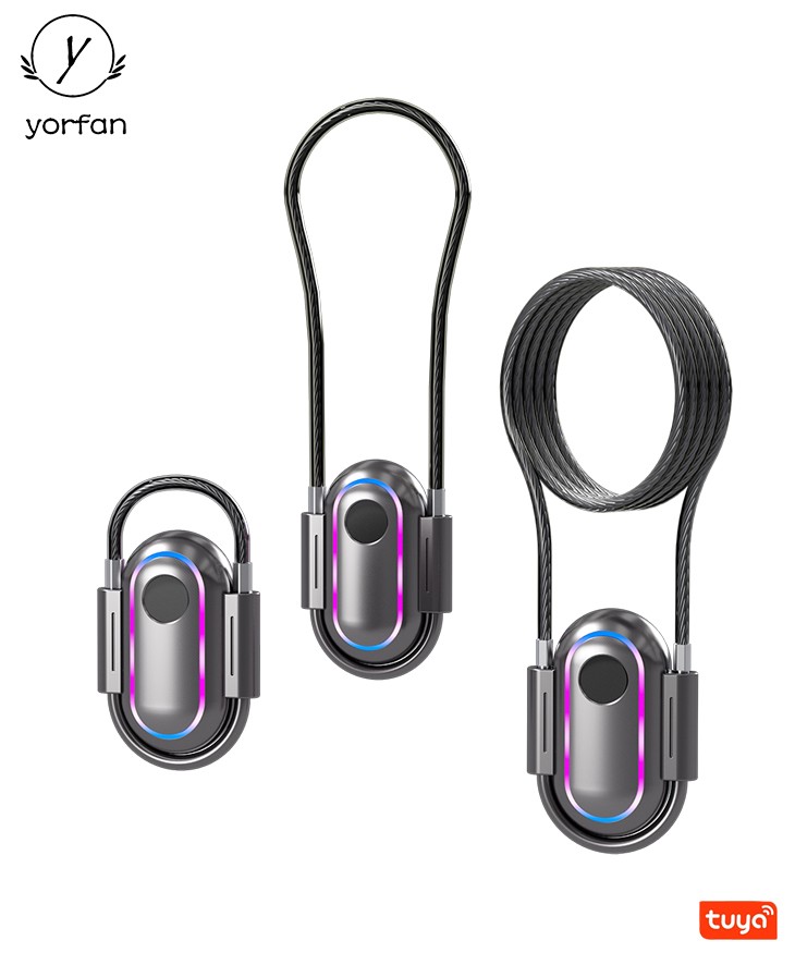 Fingerprint Pad Lock With Differentce CS01