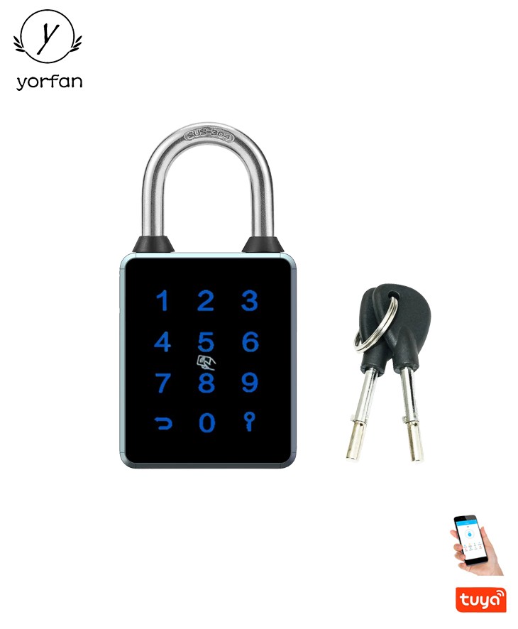 Passcode Pad Lock T55C
