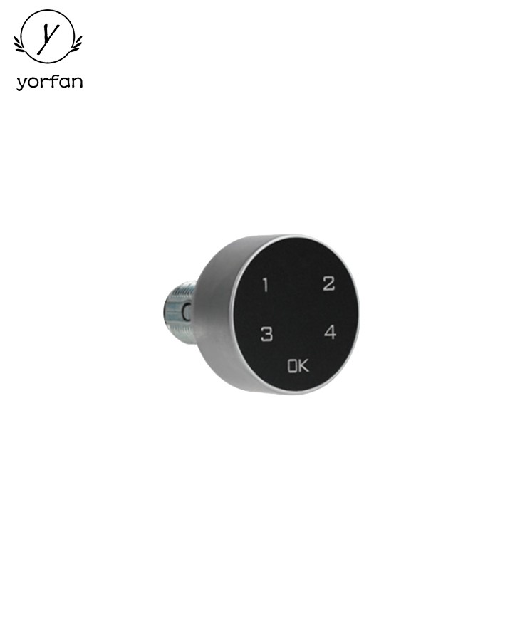 Password Cam Lock P18