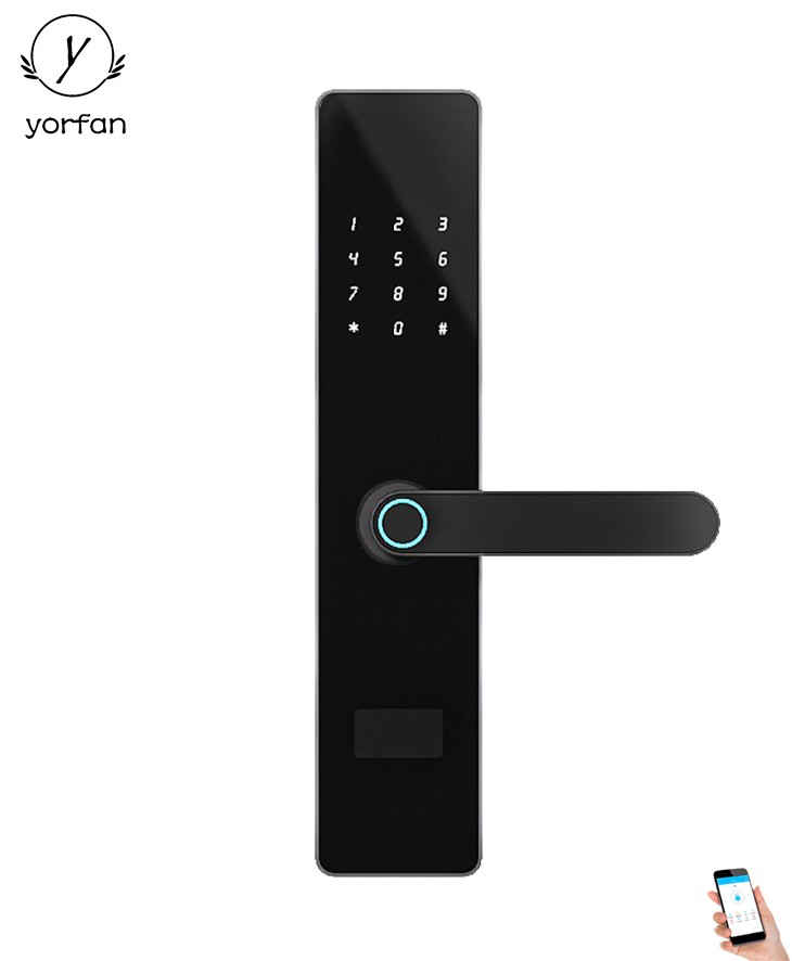 Russia Standard Mortise 6085 Mortise Fingerprint Lock YFBF-F343 Russia Standard Mortise 6085 Mortise Fingerprint Lock YFBF-F343
